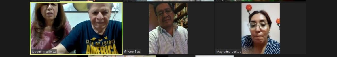 Reunión virtual Senadores JCI zona centro